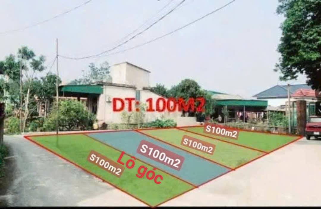 Đất Nền Nghi Thái Vinh 100m² giá 1.3 tỷ - Lô Góc 2 Mặt Tiền Đẹp