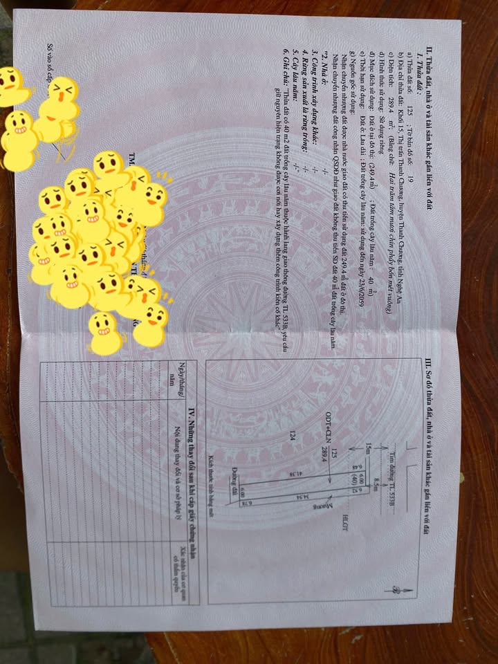 Đất thổ cư mặt tiền đường Võ Thúc Đồng 289m² giá thỏa thuận - Tiềm năng đầu tư cao!