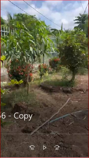 Đất vườn 5.105m² tại Mỹ Hòa Hưng, Long Xuyên - Giá chỉ 3.8 tỷ, đầu tư sinh lời ngay!