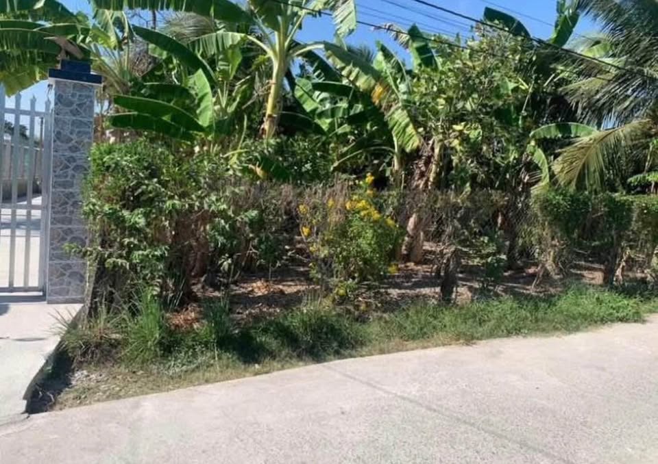 Đất thổ cư Nhơn Thạnh Trung, Tân An 110m² giá 650 triệu - Đầu tư sinh lời cao!