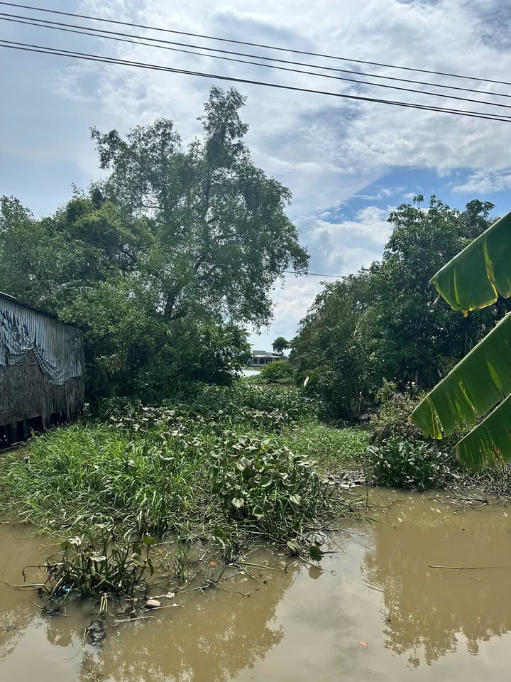 Đất thổ cư 1854m² xã Long Thạnh, Thủ Thừa - Giá 1.8 tỷ, thương lượng ngay!