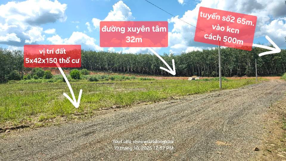 Đất nền Tân Tiến, Đồng Phú 2100m² giá chỉ 3 tỷ - Cơ hội đầu tư sinh lời!