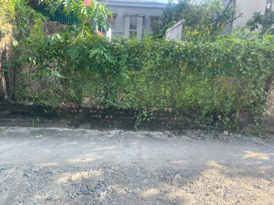 Đất nền lô góc Nam Hồng, Đông Anh 108.15m² giá 6.486 tỷ - Đầu tư sinh lời nhanh!