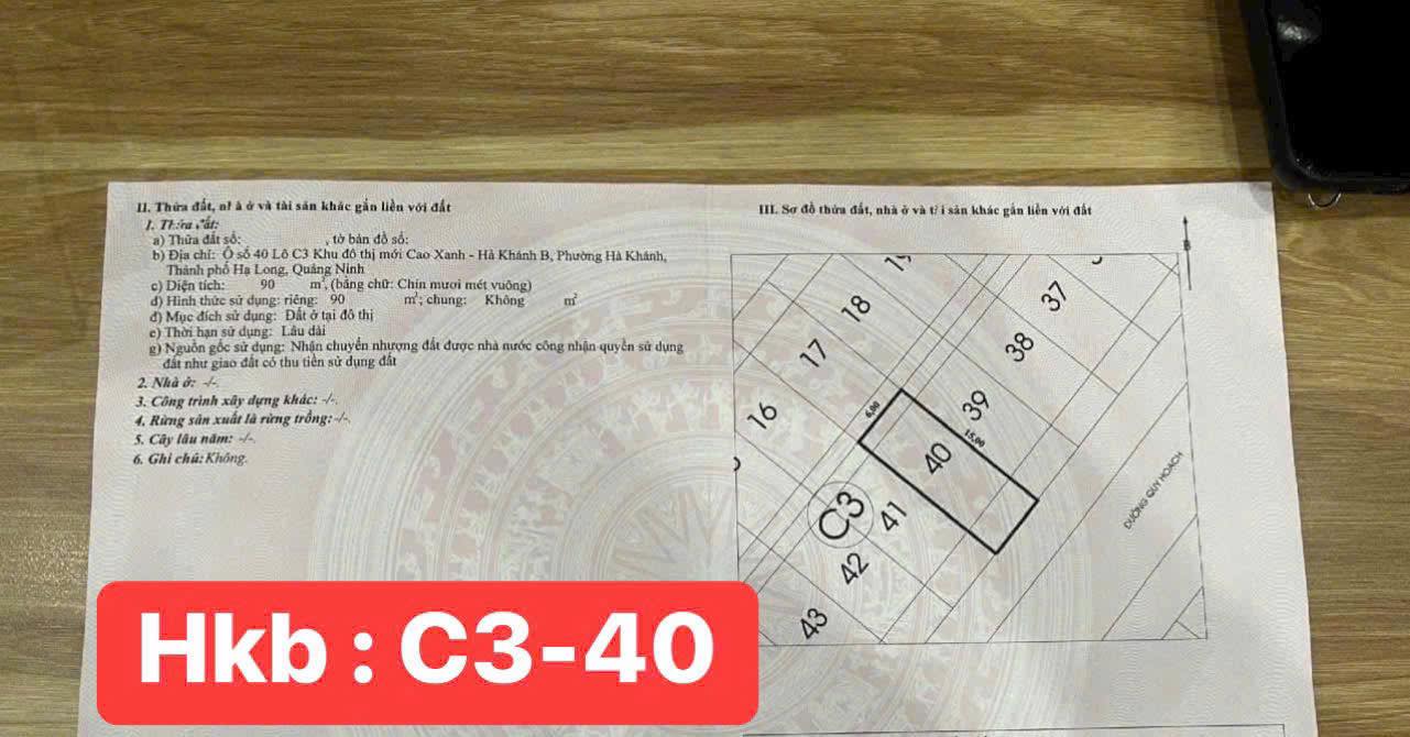 Đất dự án liên kề Cao Xanh, Hạ Long 90m² giá 3 tỷ - Đầu tư sinh lời ngay!