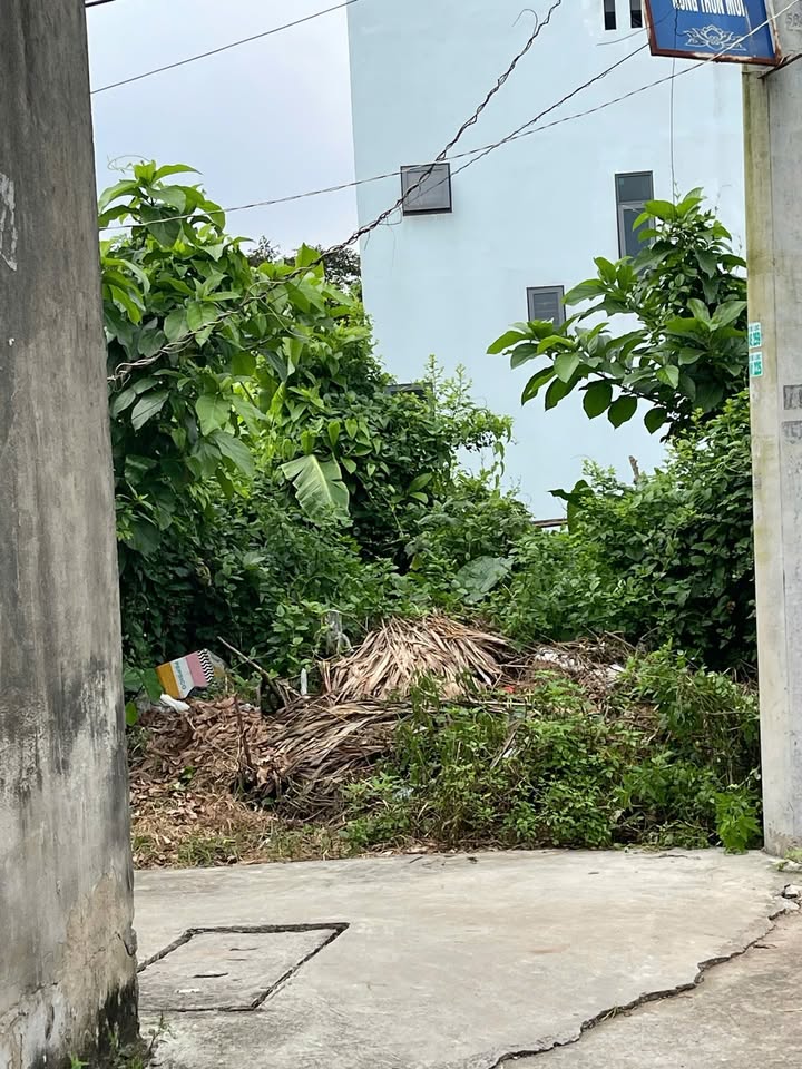 Đất nền Chương Dương Thường Tín 32m² giá 1.45 tỷ - Gần chợ và cao tốc!