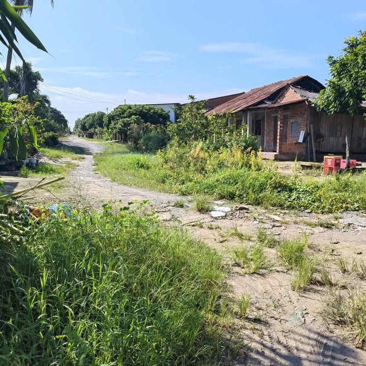 Đất nền Hẻm 95 Nguyễn Văn Linh, Hòa Thành, Tây Ninh 165m² - Giá chỉ 165 triệu!