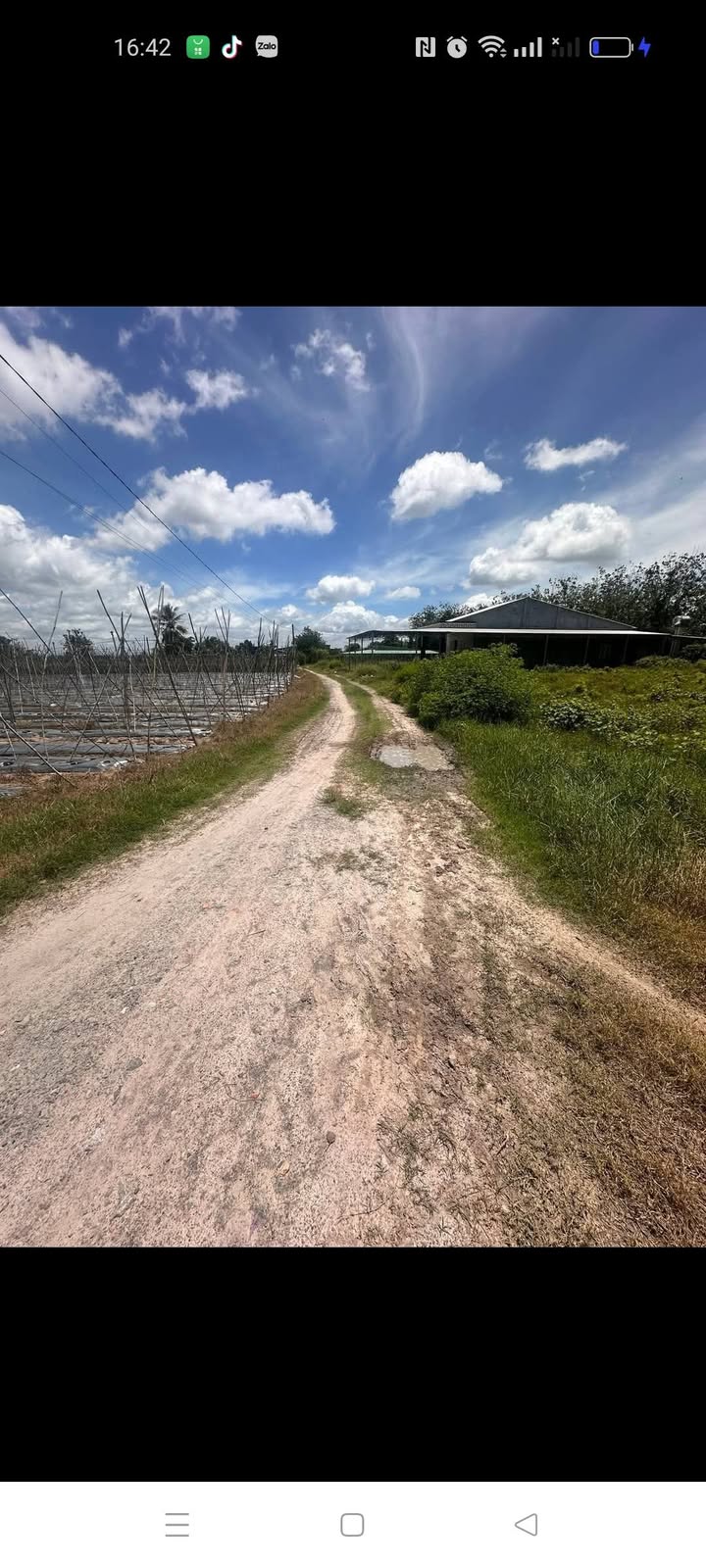 Đất nền Phước Vinh, Châu Thành, Tây Ninh 150m² giá 150 triệu - Cơ hội đầu tư tuyệt vời!