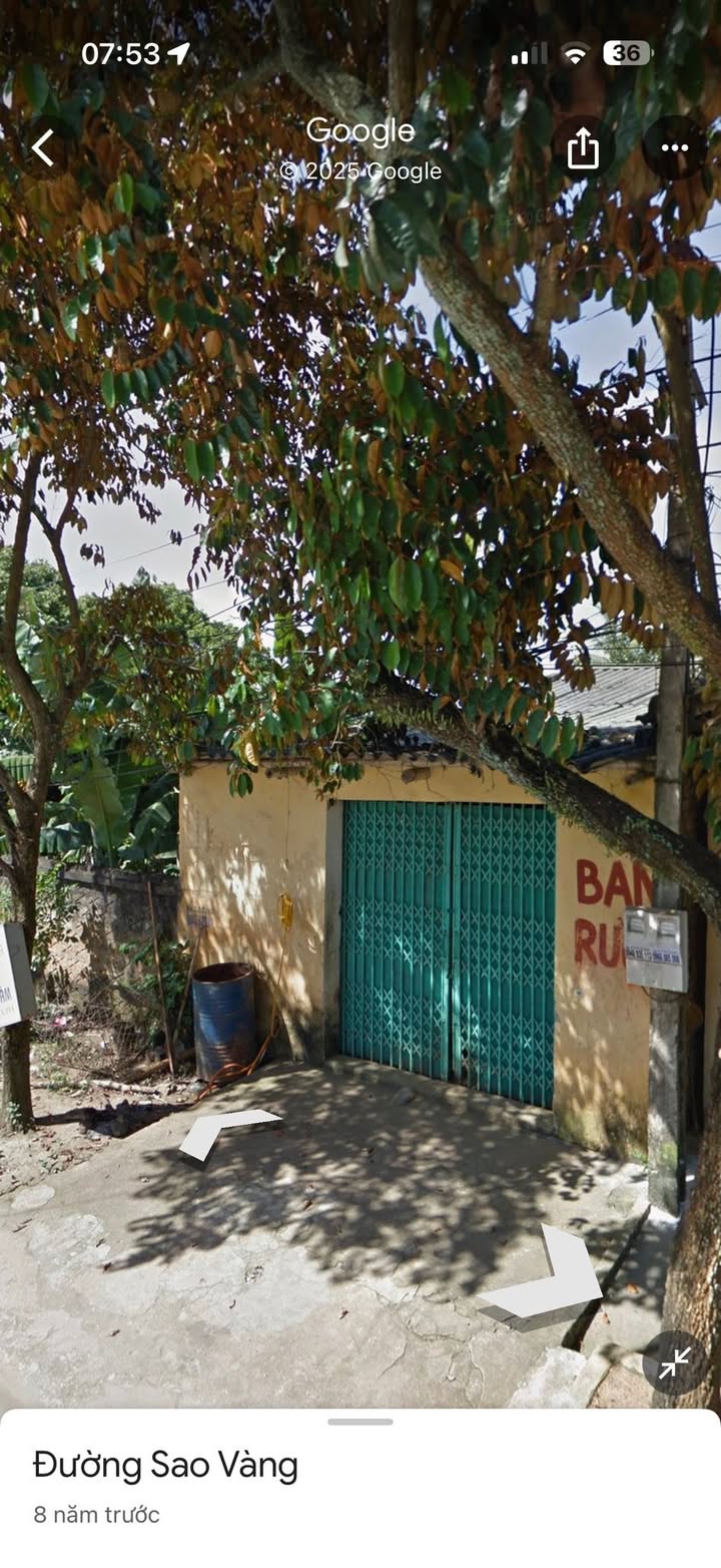 Bán đất nền khu phố 2, Thị trấn Sao Vàng 131m² giá 1 tỷ - Cơ hội đầu tư tuyệt vời!