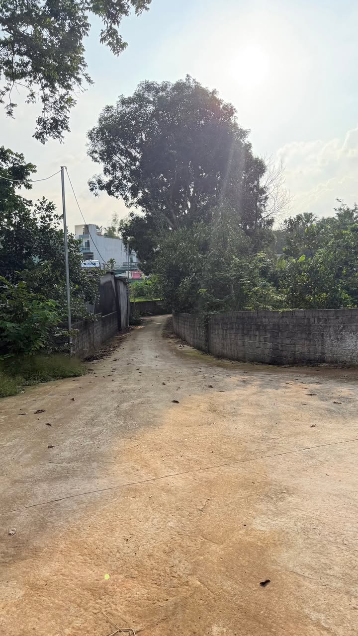 Nhà cấp 4 mới xây tại Phú Hộ 160m² giá 900 triệu - Sẵn sàng vào ở!