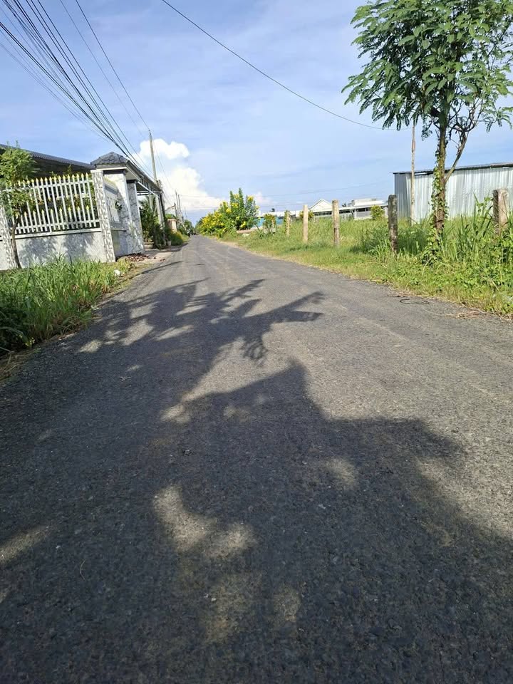 Đất nền Tân Đông Gò Công Đông 300m² giá 700 triệu - Phù hợp xây dựng nhà trọ