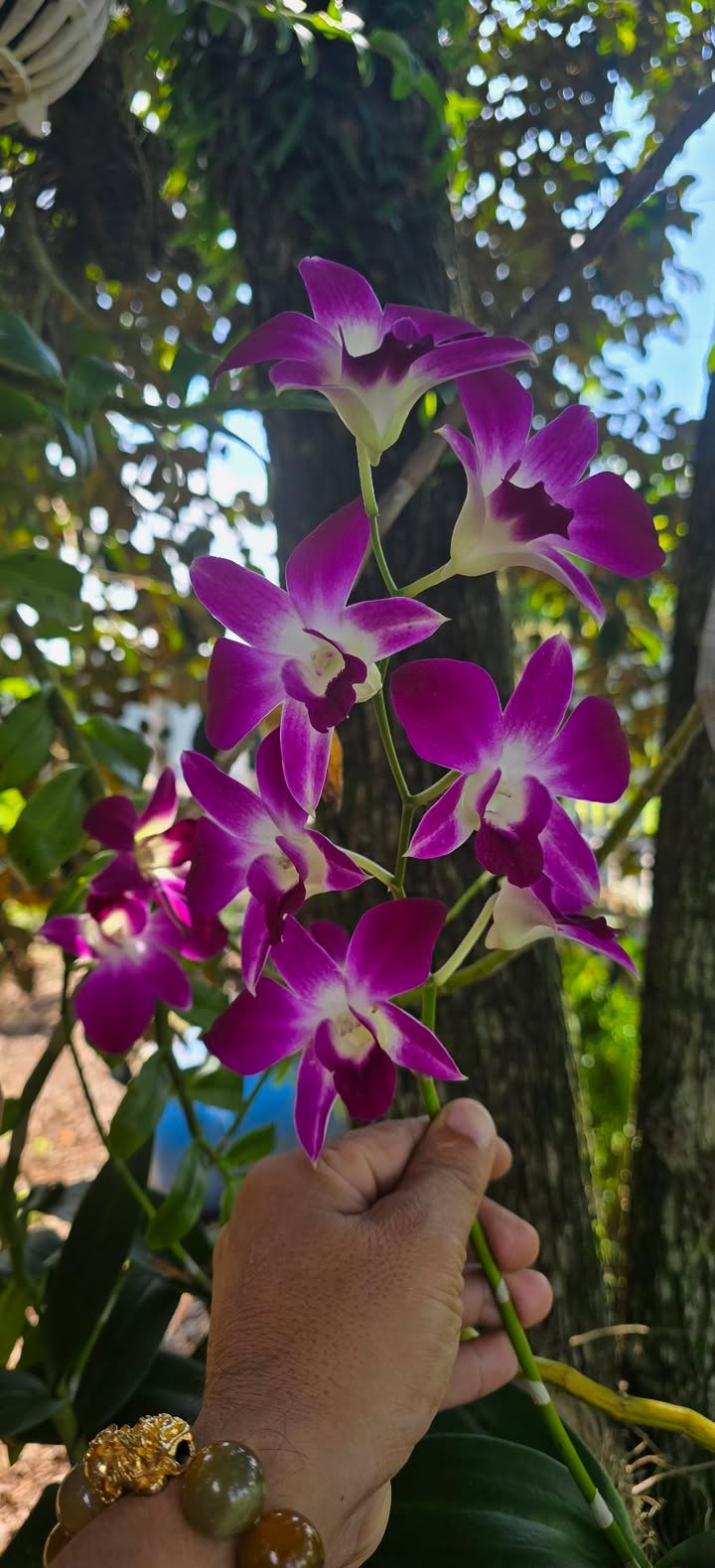 Đất nền Ngãi Giao, Châu Đức, Bà Rịa - Vũng Tàu 1550m² giá 3.499 tỷ - Cơ hội đầu tư hấp dẫn!