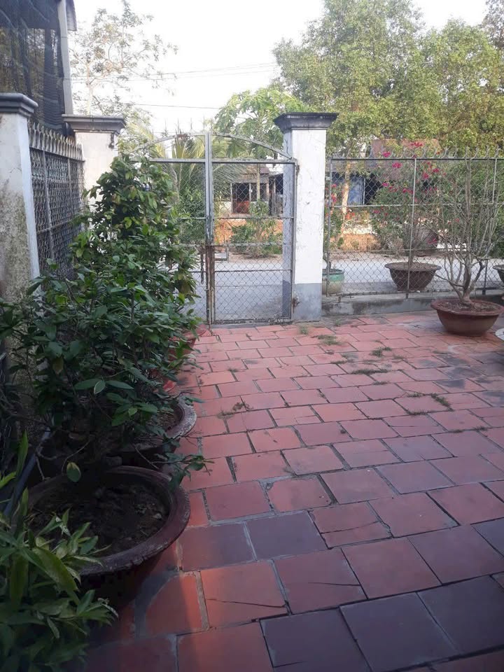 Đất đẹp 411m² tại Mỹ Quý, Long Xuyên, An Giang - Sẵn nhà, chỉ 4 tỷ!