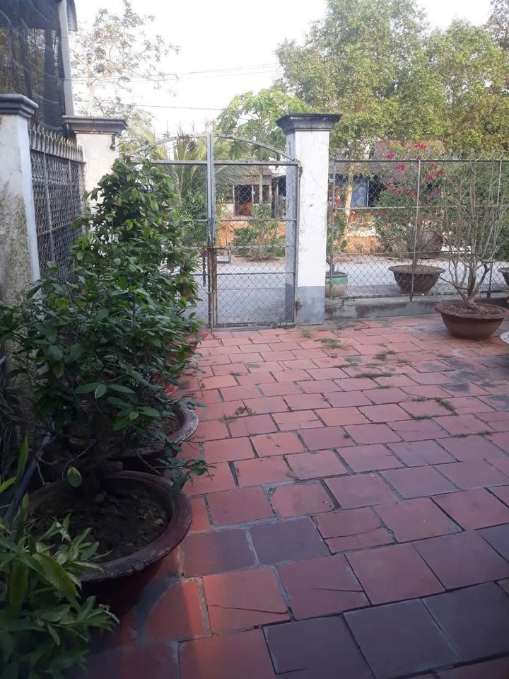 Lô đất đẹp tại Mỹ Quý, Long Xuyên 411m² giá chỉ 4 tỷ - Cơ hội đầu tư hấp dẫn!