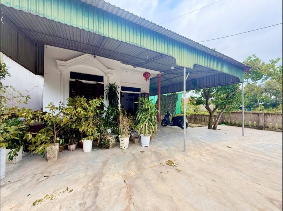 Bán nhà cấp 4 phường Thạch Quý, Hà Tĩnh, diện tích 330m² - Giá chỉ 2 tỷ!
