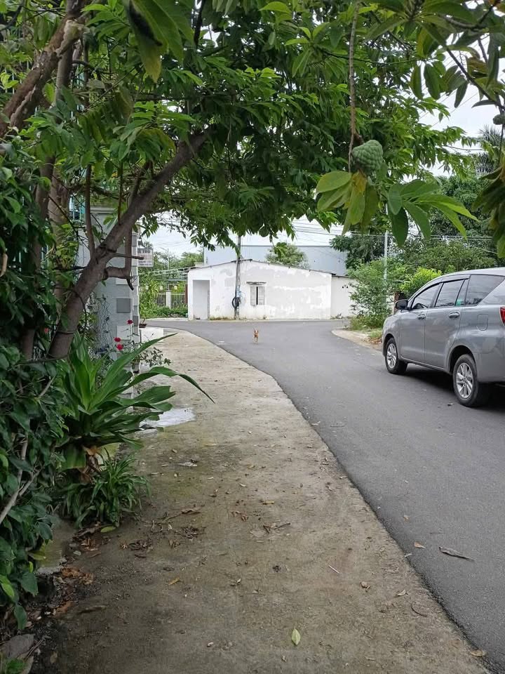 Đất kinh doanh gần TL2, xã Diên Lạc, 744m² chỉ 12.2 tỷ - Sẵn nhà ở ngay!