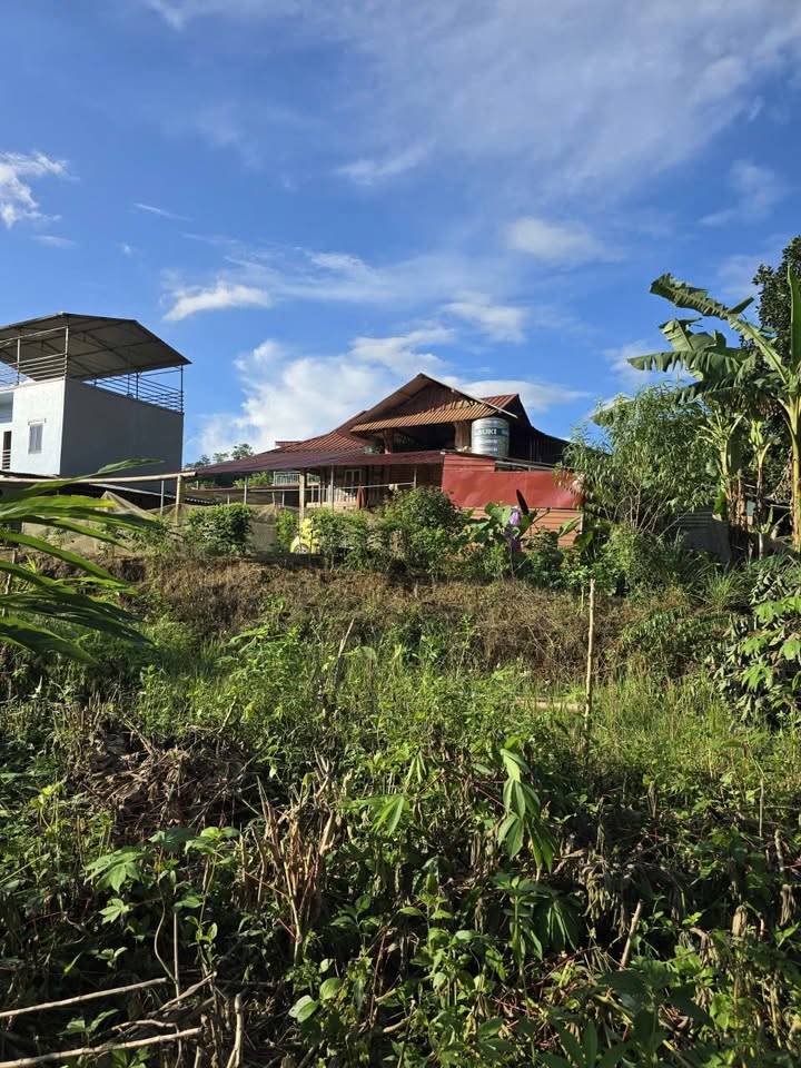 Đất nền 3000m² tại Chiềng Khoa, Vân Hồ - Giá chỉ 400 triệu!