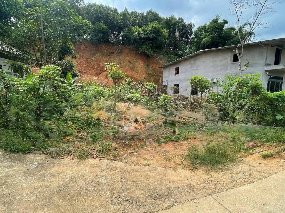 Đất xây nhà vườn Cổ Phúc 308m² giá 900 triệu - Không ngập úng, sổ đỏ chính chủ!