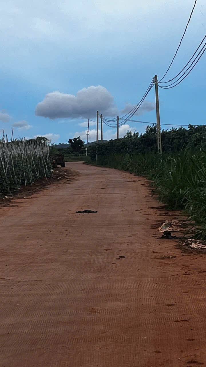 Đất Tân Hội, Đức Trọng 140m² giá 470 triệu - Đường bê tông thông sát khu dân cư!