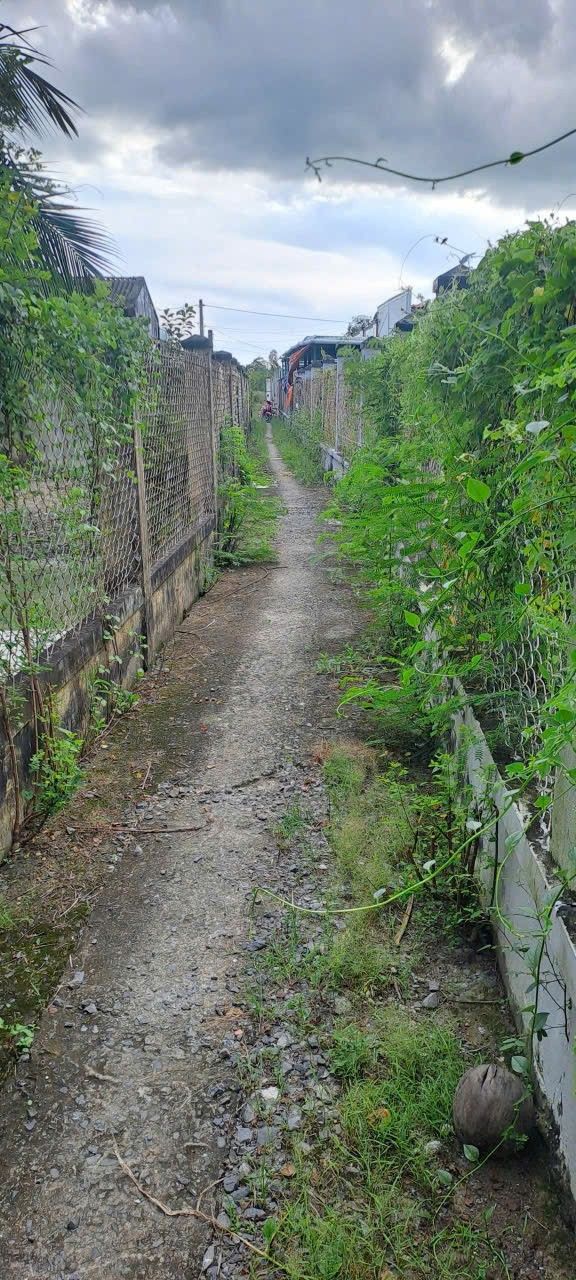 Đất nền Tân Phước Gò Công 360m² giá chỉ 260 triệu - Cơ hội đầu tư hấp dẫn!