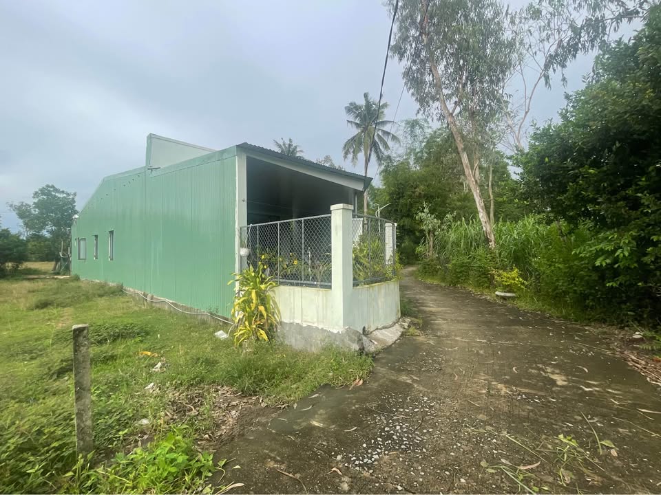 Đất thổ cư Phước Lộc, Tam Thái 200m² giá thỏa thuận - Đường ô tô vào tận nơi!