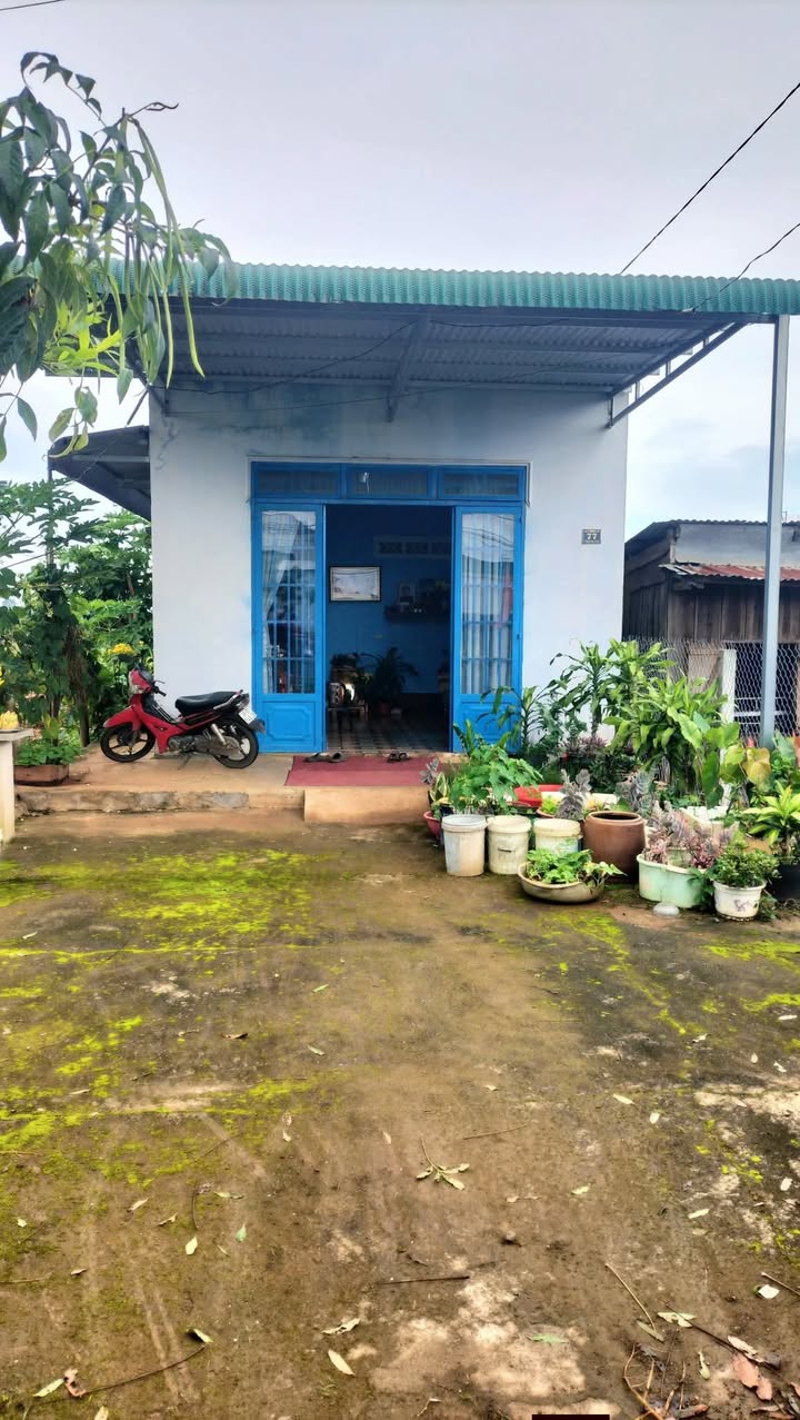 Nhà cấp 4 mặt tiền đường DH1 Tân Hội, 100m² giá chỉ 1.7 tỷ - Đầu tư sinh lời!