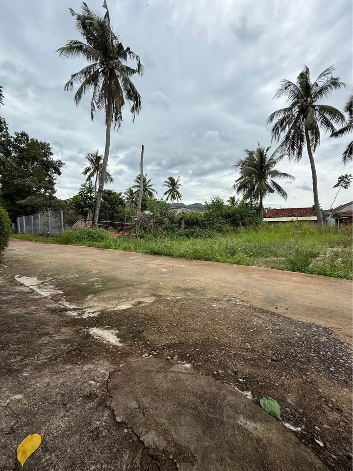 Đất nền Mỹ Lợi, Phù Mỹ 100m² giá 159 triệu - Cơ hội đầu tư hiếm có!