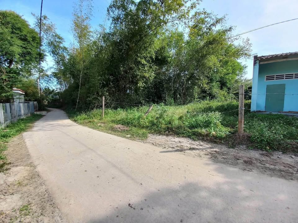 Đất nền Vĩnh Phú 8, Phù Mỹ 403m² giá chỉ 250 triệu - Cơ hội đầu tư tuyệt vời!