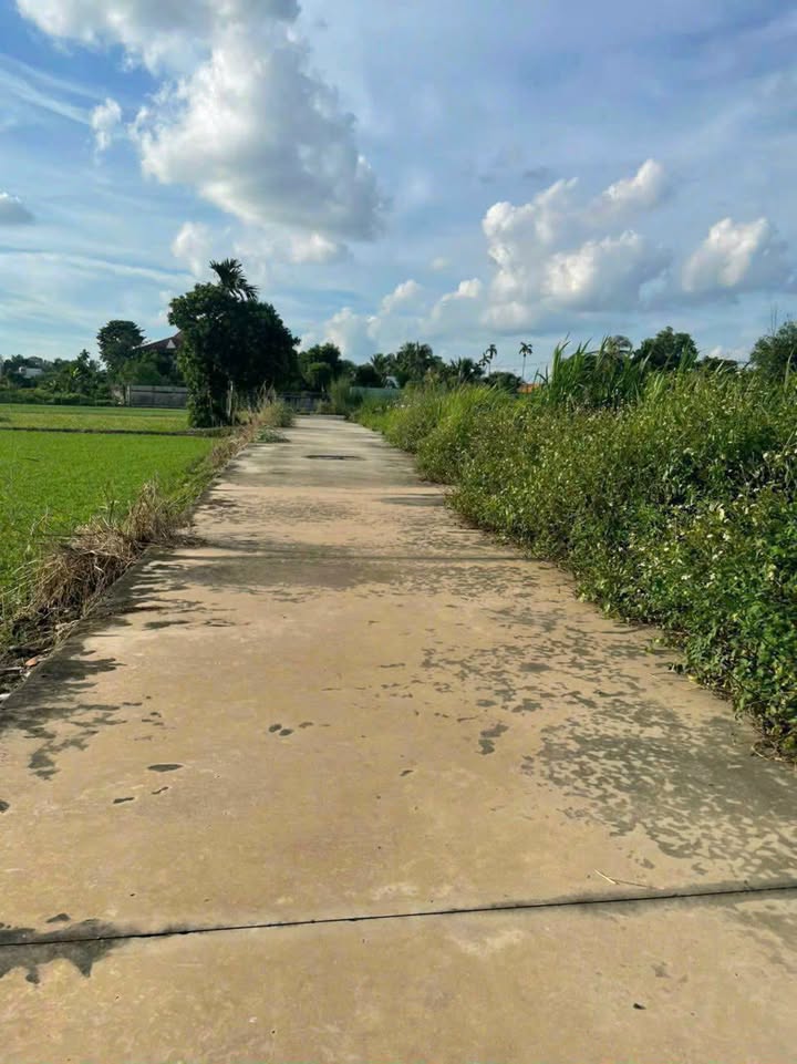 Đất nền 85.5m² tại Ấp 7, Bình Mỹ, Củ Chi - Giá chỉ 1.57 tỷ, sổ hồng chính chủ!