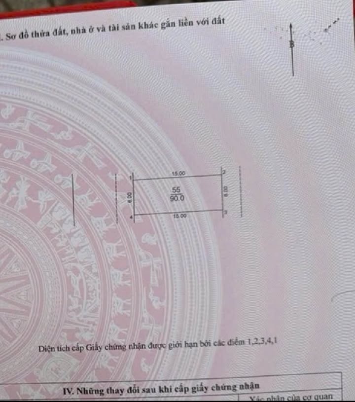 Đất đấu giá Dục Tú 99m² - Cơ hội đầu tư sinh lời hiếm có!