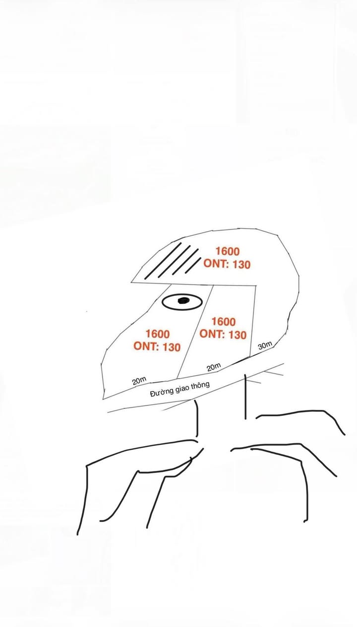 Đất thổ cư 1600m² tại Minh Lập, Đồng Hỷ - Giá chỉ 400 triệu!