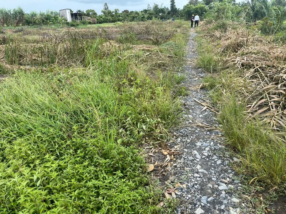 Đất nền Mỹ Thọ, Cao Lãnh - Diện tích từ 90m² đến 778m², giá chỉ từ 80 triệu!