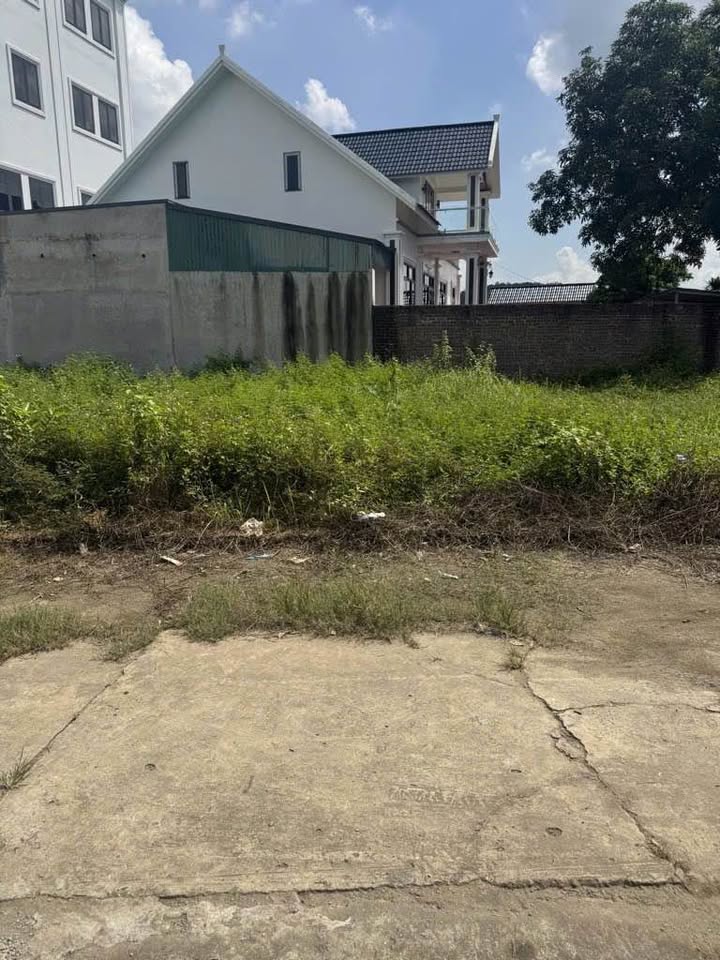 Đất Hiền Ninh Sóc Sơn 55.4m² giá 1.9 tỷ - Đường ô tô vào tận nơi!