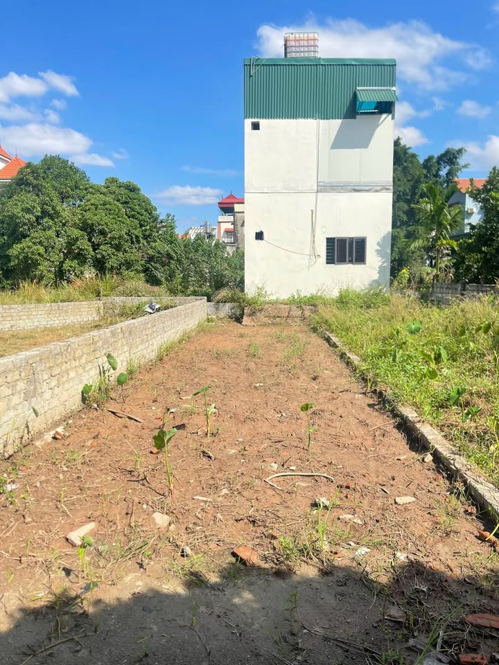 Đất nền Chương Dương Thường Tín 70m² giá 2 tỷ - Gần trục chính, ô tô vào tận nơi!