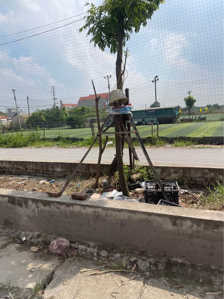 Đất đẹp An Thượng Hoài Đức 55m² giá 4.7 tỷ - Ô tô đỗ cửa, đầu tư sinh lời!