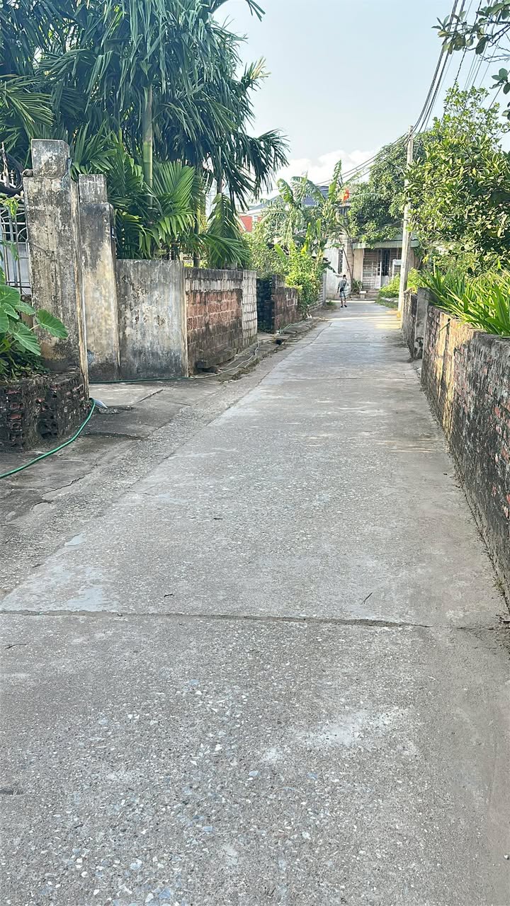 Đất lô góc 63m² Hồng Vân, Thường Tín giá 2 tỷ - Cơ hội đầu tư hiếm có!