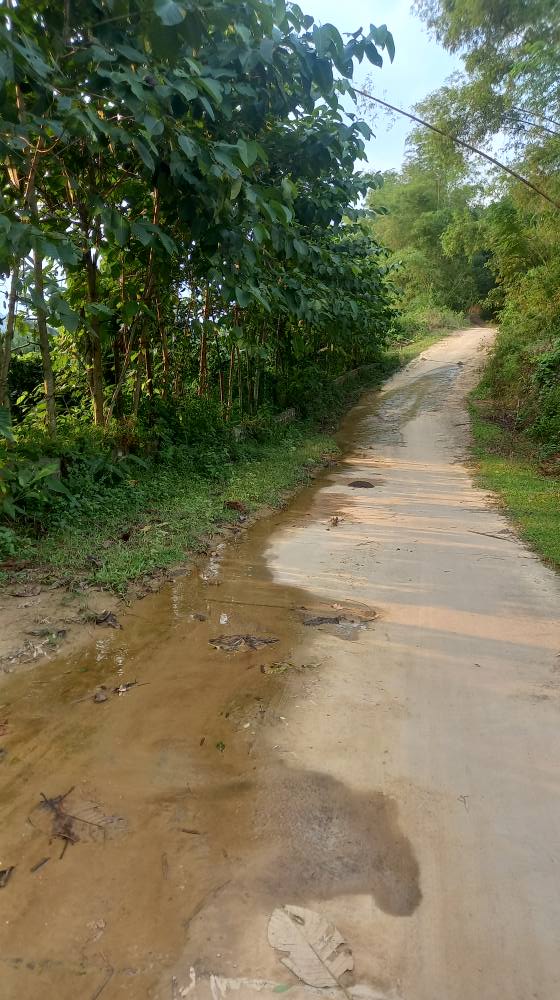 Đất CLN tại Đú Sáng, Kim Bôi 5000m² giá 1.7 tỷ - Cơ hội đầu tư hấp dẫn!