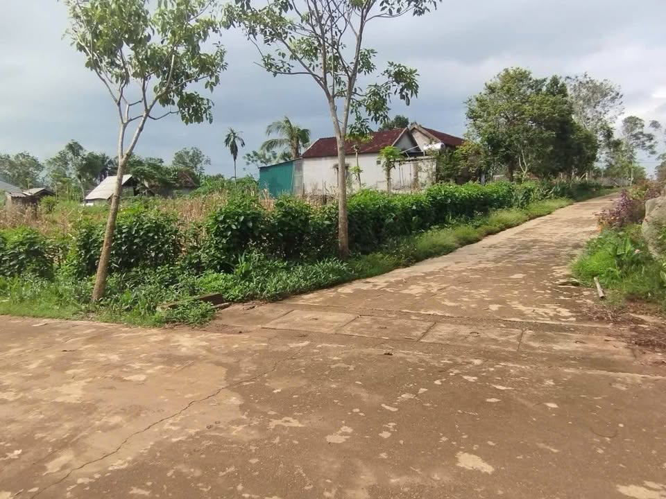 Đất nền Nghĩa Thọ, Nghĩa Đàn 192m² - Giá tốt cho nhà đầu tư!