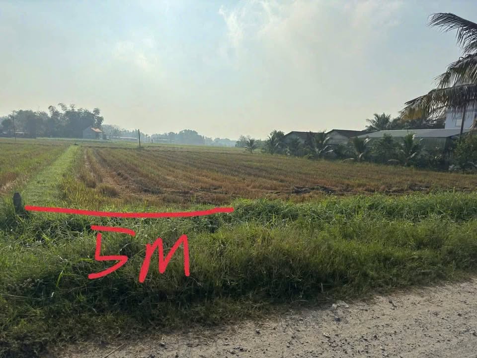 Đất nền 600m² tại Đức Lập Hạ, Long An - Giá chỉ 1.25 tỷ, cơ hội đầu tư tuyệt vời!