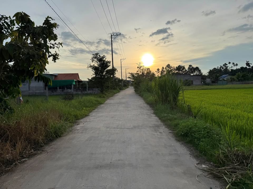 Đất thổ cư tại Đức Lập Hạ 365m² giá 1.85 tỷ - Sổ hồng riêng, không quy hoạch!