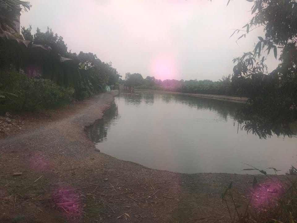 Đất mặt tiền 33m tại Vĩnh Khánh, Thoại Sơn 9000m² - Giá chỉ 3.2 tỷ thương lượng!