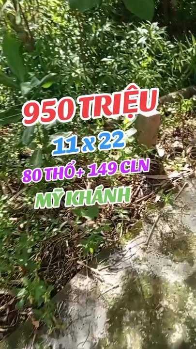 Đất nền An Bình Cần Thơ 229m² giá 950 triệu - Mặt tiền rộng, vị trí đẹp!