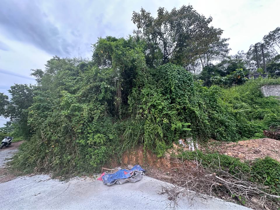 Đất Kiệt 69 Lê Ngô Cát, Thủy Xuân 329m² giá 1.07 tỷ - Phân lô tách thửa lý tưởng!