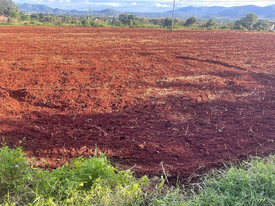 Đất thổ cư Ea H'Leo, Đắk Lắk 1ha giá 10 tỷ - Pháp lý rõ ràng, đầu tư sinh lời!