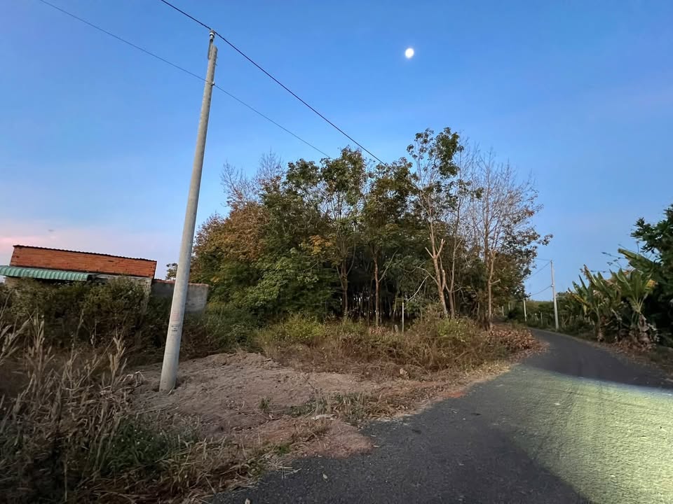 Farm 5100m² tại ấp 3, Thanh Hòa, Bù Đốp - Giá chỉ 1.2 tỷ, đất đẹp, gần trung tâm!