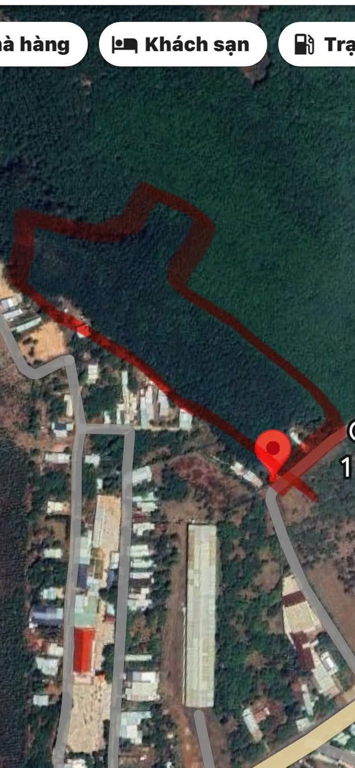 Đất nền Đồng Tiến, Đồng Phú 30,000m² giá 11 tỷ - Mặt tiền rộng, vị trí chiến lược!