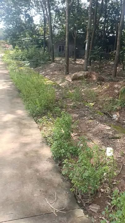 Đất nền Tiến Hưng 3500m² giá 10.5 tỷ - Lý tưởng cho xây trọ hoặc nhà vườn nghỉ dưỡng!