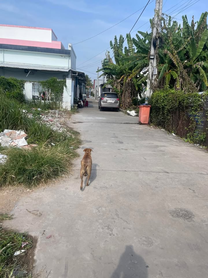 Đất thổ cư 105m² Trà Vinh - Hai mặt tiền, giá tốt cho đầu tư!