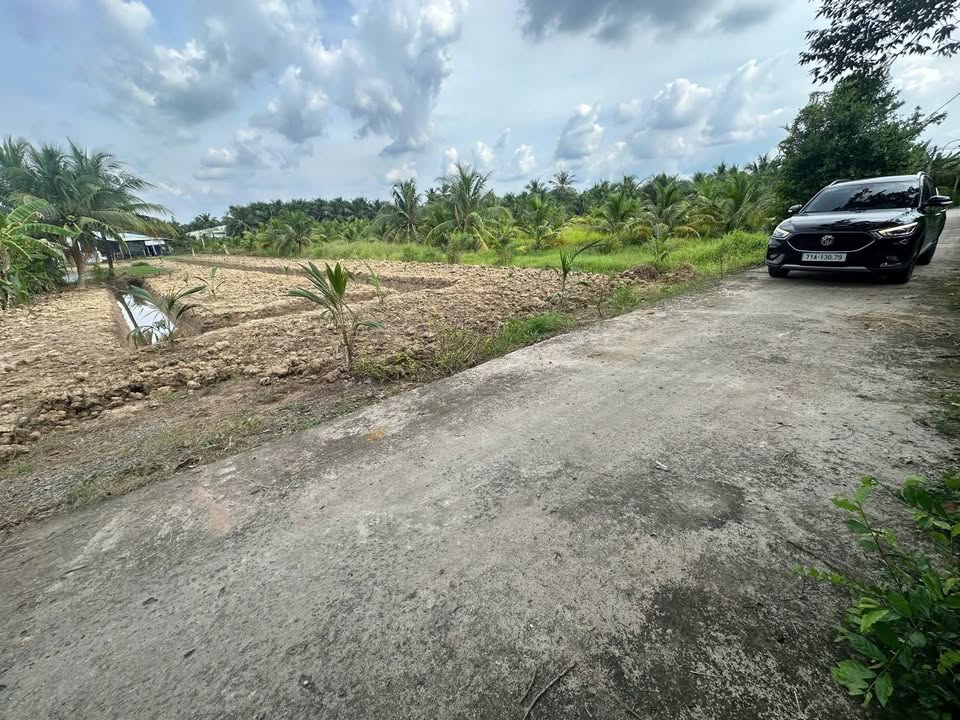 Đất vườn Phú Khương, Bến Tre 1.931m² giá 1.93 tỷ - Đầu tư lý tưởng!