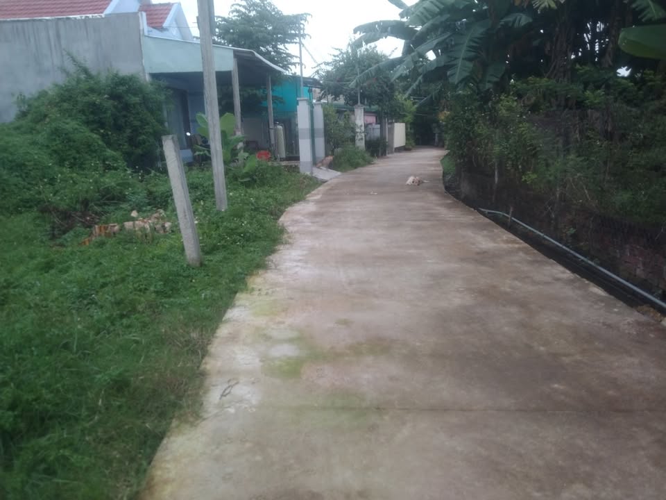 Đất vườn Nghĩa Thương 339m² giá 700 triệu - Vị trí đắc địa gần chợ Điện An!