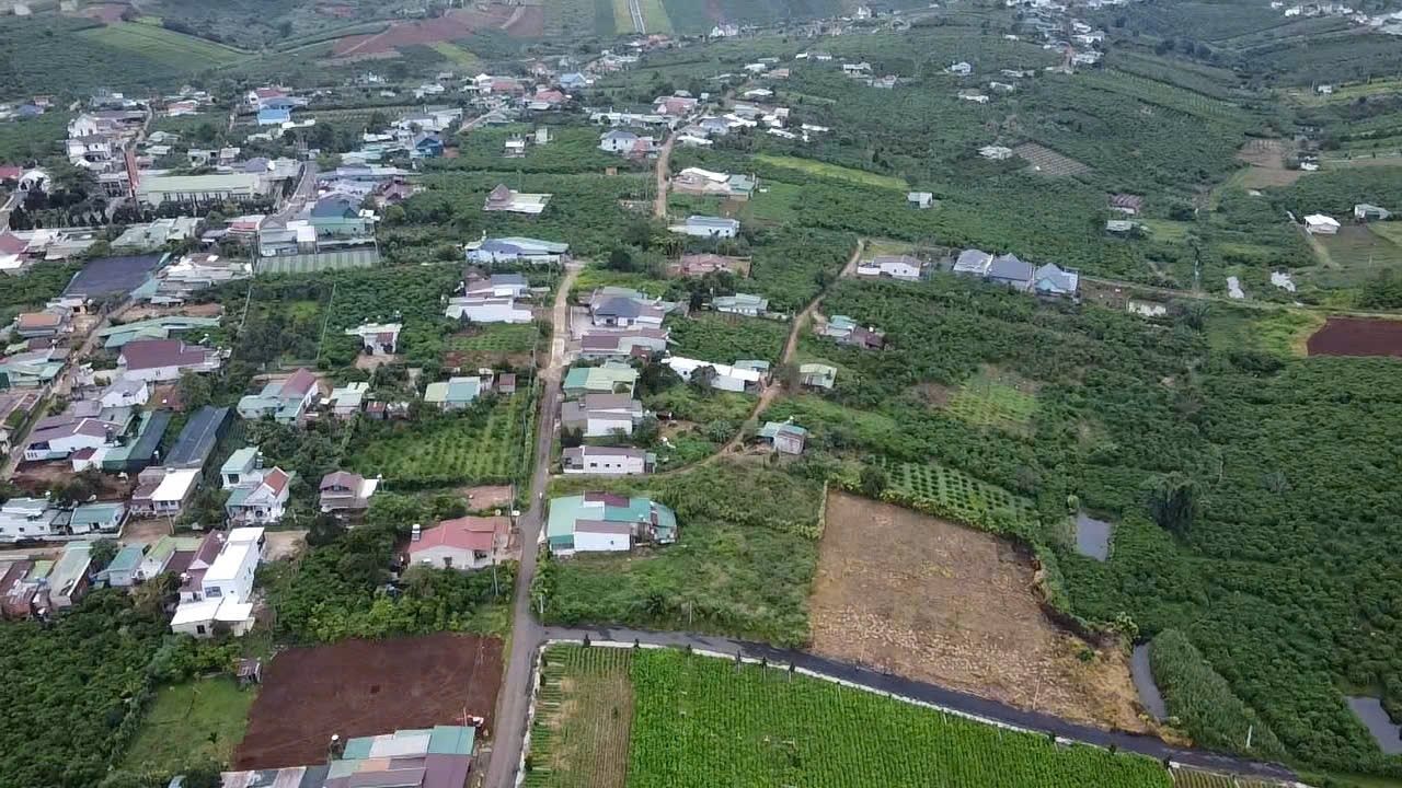 Đất Lộc Quảng Bảo Lâm 500m² giá 1.25 tỷ - Đường ô tô tránh nhau, vị trí đẹp!